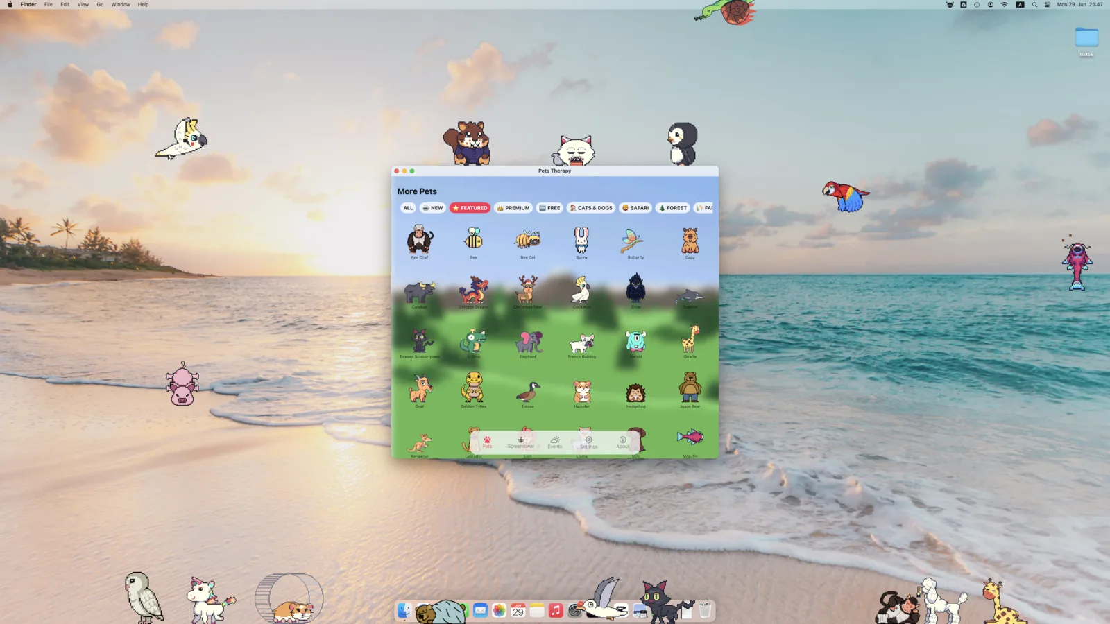 Pets Therapy running on macOS: the pet picker window open over a beach wallpaper, with cats, birds and a panda roaming the desktop